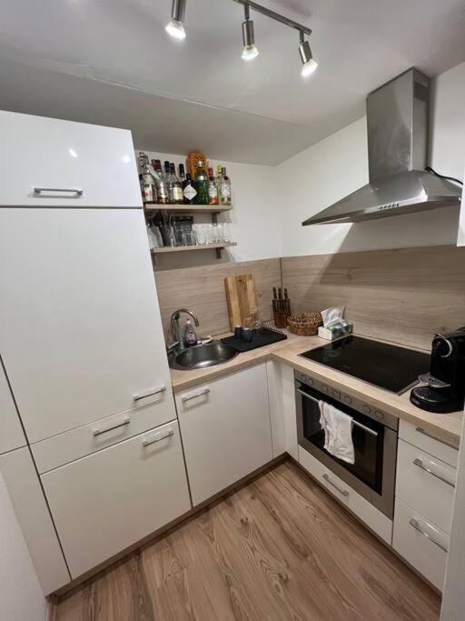 Schoene Penthouse Direkt Am Deutschen Eck Koblenz (Rhineland-Palatinate)