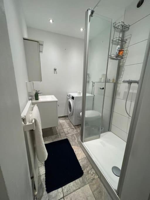 Schoene Penthouse Direkt Am Deutschen Eck Koblenz (Rhineland-Palatinate)